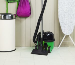 Aspirateur Henry Petcare HPC200-11 - Image 3